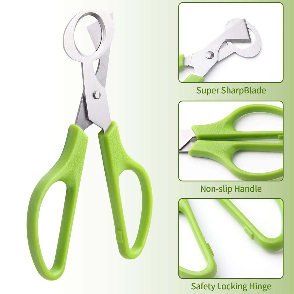 3Pcs 메추라기 계란 커터 가위 주방 계란 가위 도구 - Kitchen Shears In Baking 리뷰 및 가격