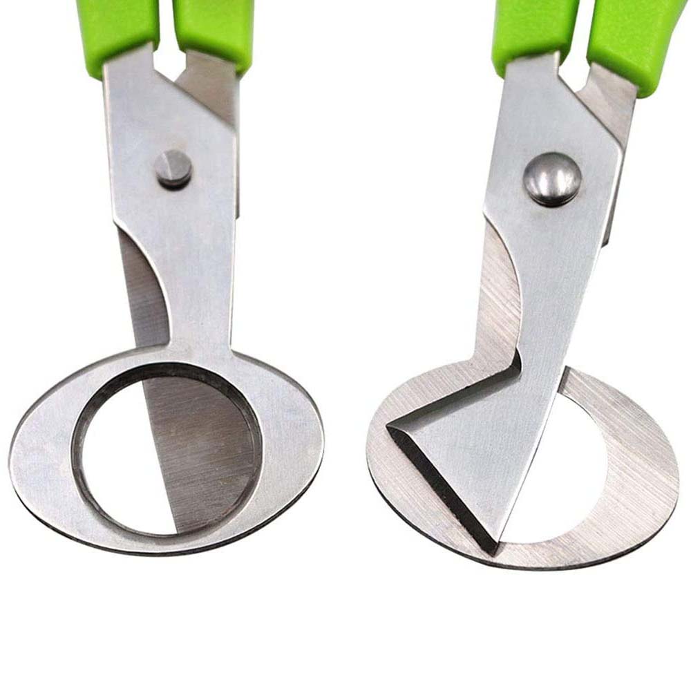 3Pcs 메추라기 계란 커터 가위 주방 계란 가위 도구 - Kitchen Shears In Baking 리뷰 및 가격
